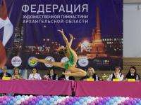 13 гимнасток защитили честь Архангельской области