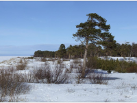 В Северодвинске будет закрыт участок побережья Белого моря
