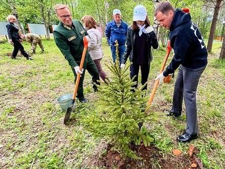 Глава Поморья высадил деревья в рамках акции «Сад Памяти»