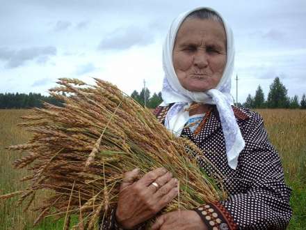 В Архангельской области вышло уникальное издание «Песни Устьи», представляющее традиционную культуру юга региона