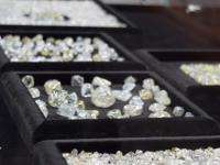 Запасы алмазов Поморья оценили в 240 миллионов карат