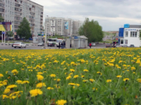На формирование комфортной городской среды в Поморье выделено более 270 миллионов рублей