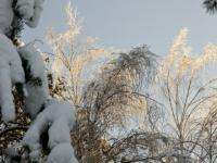 13 марта в Поморье ожидается гололёд и снег с дождём 