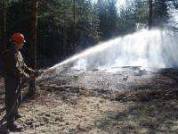 Леса Архангельской области в июле подвержены пожарной опасности