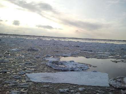 Основной ледоход на Северной Двине в районе Архангельска ожидают после выходных 