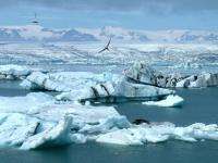 В 2015 году в Архангельске начнет работу центр по изучению Арктики
