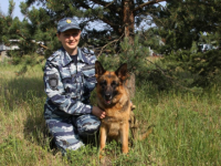 В Архангельске собака по кличке Цукини привела полицию к грабителю