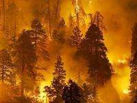 К началу мая Поморье будет полностью готово к пожароопасному периоду в лесах