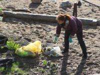  Экологи и горожане убрали часть набережной Архангельска от мусора