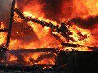 В Няндоме сгорели семь сараев