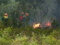 В трёх районах Поморья объявлен высший уровень опасности лесных пожаров