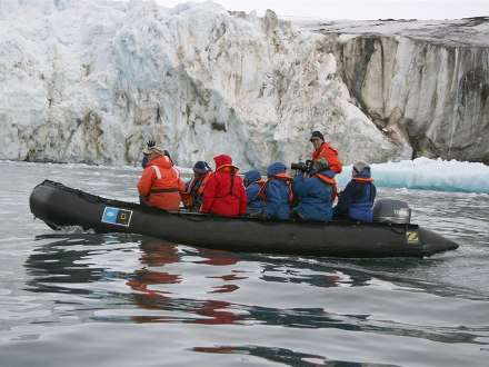 У архипелага Земля Франца-Иосифа ученые впервые встретили горбатого кита