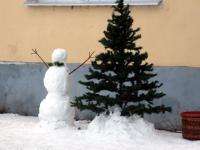 Метеорологи в Архангельской области обещают 25-ти градусные морозы в Новогоднюю ночь