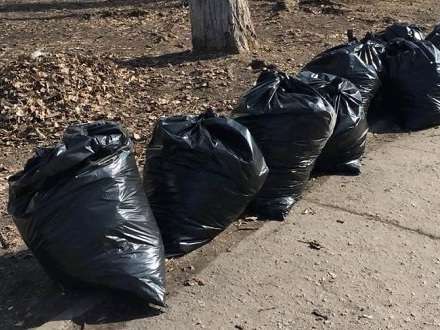 Власти Архангельска объявили о раздаче мусорных мешков