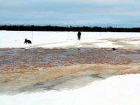 Из-за потепления в Архангельской области лед становится тоньше на реках и озерах