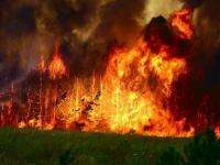Самый большой лесной пожар с начала сезона в Поморье локализован