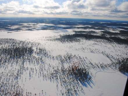 Проверка с воздуха показала, что незаконные рубки леса в нацпарке «Онежское Поморье» отсутствуют