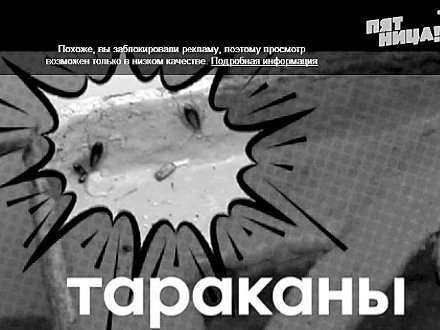 Архангельский суд закрыл на 90 дней ресторан «Север»