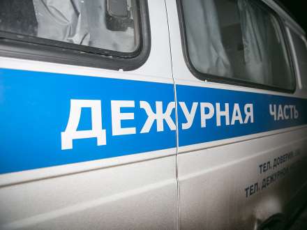 Житель Новодвинска ударил сотрудника полиции