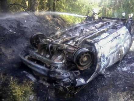 В Холмогорском районе заяц стал причиной серьезного ДТП и лесного пожара