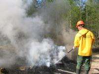 В Архангельской области ожидают возникновения новых лесных пожаров 