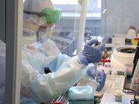 Тесты на коронавирус в Поморье проведут на веществе из носоглотки