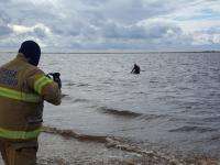 В Северодвинске спасли утопающего рыбака