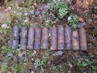 В Плесецком районе найдены 10 старых снарядов