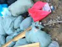 Архангельский областной крематорий не выбрасывал человеческий прах вместе с мусором