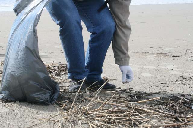 На побережье Белого моря прошла генеральная уборка