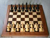 Архангельские и Соловецкие школьники сразились в онлайн-шахматах