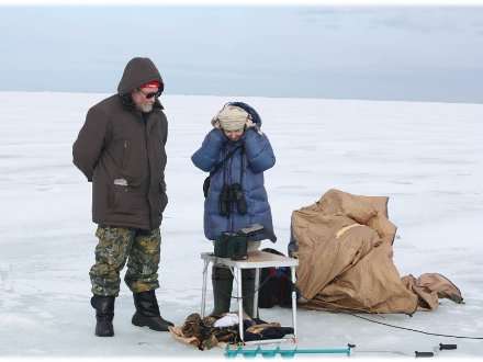 Морские зайцы приглашают на концерт