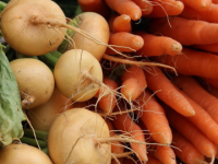 Шенкурский район привезет на Маргаритинку чипсы из репы и моркови