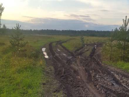 Факты захламления земель сельхозназначения в Каргопольском районе выявили активисты Народного фронта 
