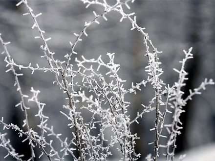 С завтрашнего дня в Поморье ожидается похолодание