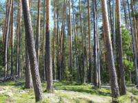 Защитники природы выступают за создание нового заказника  в Архангельской области 