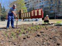 Архангельск украсят цветником в форме Андреевского флага