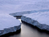 В Северодвинске спасатели вызволили мальчика с осколка льдины