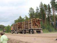 В Архангельской  области для малого среднего бизнеса зарезервировали лесосеку 