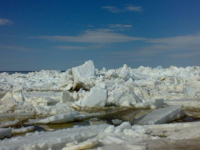 За сутки ледоход приблизился к Архангельску на 14 км