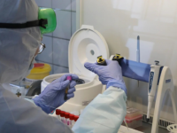 В Поморье за сутки подтвердилось 276 новых случаев заражения коронавирусом