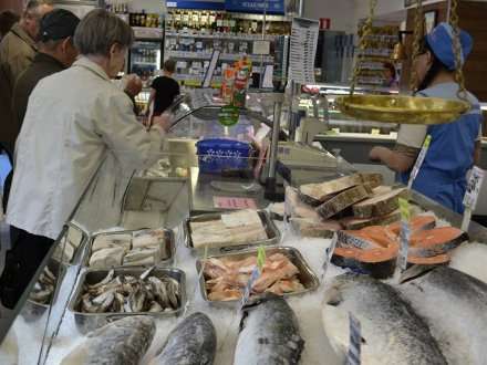 Архангельские журналисты исследовали рыбный рынок города