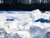 По Северной Двине на льдине плыл 8-летний мальчик