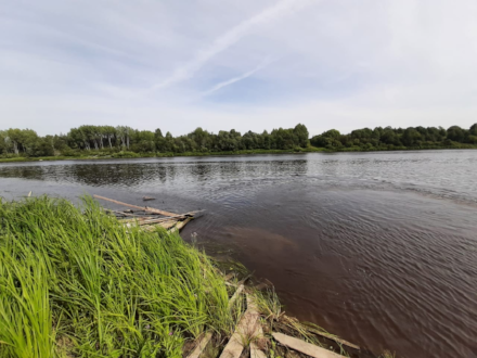 В реке Онега водолазы обнаружили тело утонувшей девочки