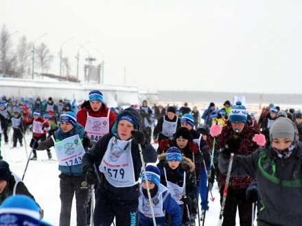 Несколько тысяч жителей Архангельска выйдут на «Лыжню России» 