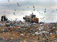 Состоится ли «мусорный коллапс» в столице Поморья и наступит ли «конец» полигону ТБО?