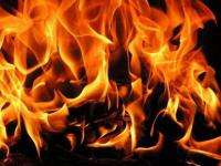 В Каргополе при пожаре погибли двое мужчин