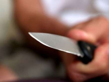 В Плесецком районе женщина подозревается в убийстве