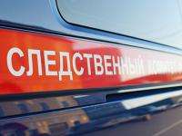 Двое жителей Шенкурского района обвиняются в убийстве