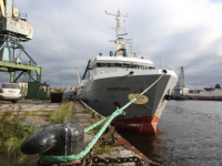 В Архангельск доставлено 200 тонн замороженных рыбных полуфабрикатов 